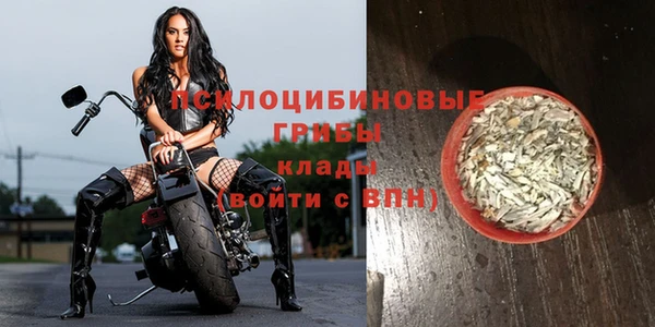 Альфа ПВП Володарск